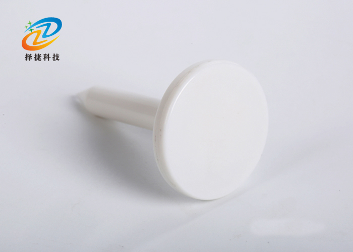 釘子電子標簽ZJ-DZ011實拍展示圖二