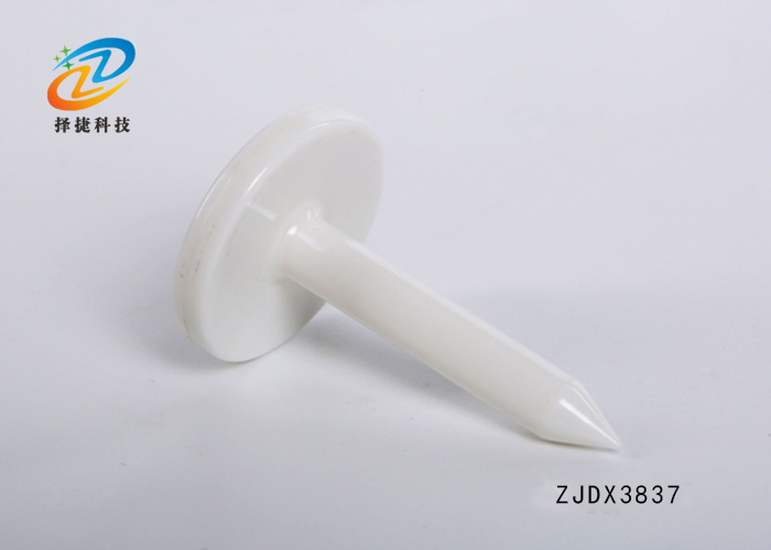 釘子電子標簽ZJ-DZ013實拍展示圖一